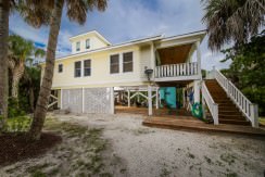 Sabal Palm #16 – NEW PRICE Sabal Palm #16 – NEW PRICE